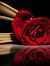 Hoda Qais