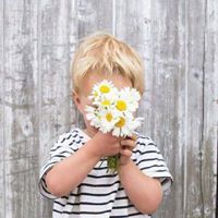 Řãníã Íbřãhím