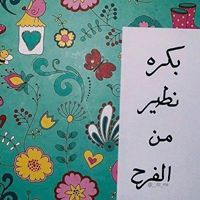 Alaa Mohamed