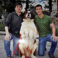 Carlos José  Jerves