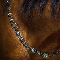 زينب الهيصمي