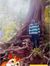Jayanth...