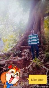 Jayanth Reddy