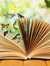 Book Wizard Tina