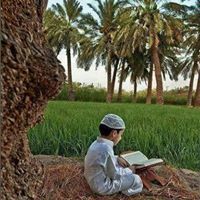 واحة الرشيد