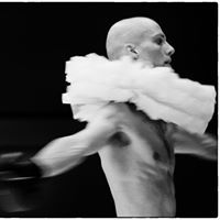 Alexander Vantournhout