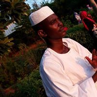 حامد حمدالنيل المهدى