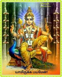 Vijayalakshmi Padmanaban