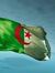 Samah R...
