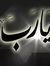 Ahmed G...