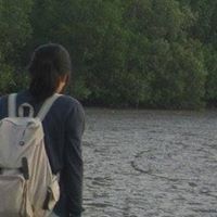 ดักแด้ ของความฝัน