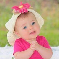 القطه الشقيه