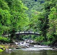 মোঃ রাজু