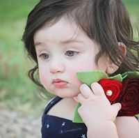 داليا الشيخ