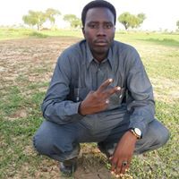 مصطفى عزالدين