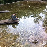 Никола Савић