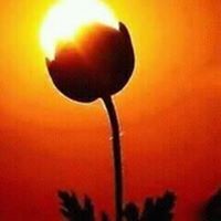 عثمان الهادي