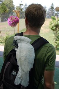 Karolis Saduikis