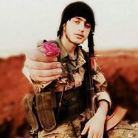 محمود اسماعيل