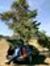 Todor M...