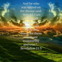 Whitney Ladybug Chronicles