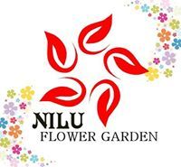 Nilu Flower