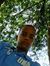 Oniel R...