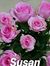 Susan C...