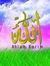 Anwar Ali