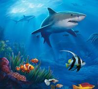 Дмитрий Шарк