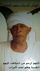 محمد سعيد الحسن