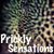Prickly Sensations