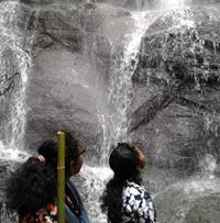 সাহেদা লিমন