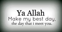 Sayed Ali
