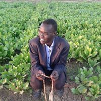 محجوب إدريس