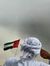 ابو طاهوش