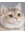 member photo member photo