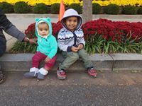 Arulrajan Alex