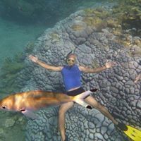 محمود الاحمدى