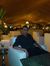 Mostafa...