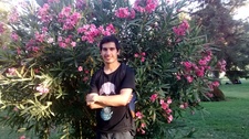 Rodrigo León