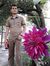 Balu Josse