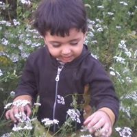 Ayman Saad