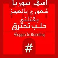 وليد العلام