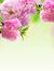Anshu M...