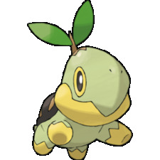 Turt