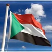 اسامه البشير