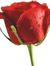 Nahid A...