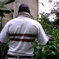 Linus K'Imathi