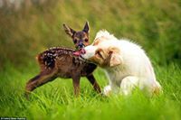 สามเสน เลิศหรูอลังการ